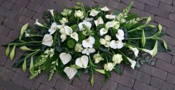 Afbeelding invoegen