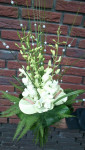 bruidsboeket met dendrobium