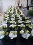 tafelstukjes wit met orchidee