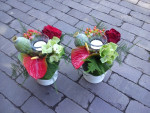 condoleancestukjes rood