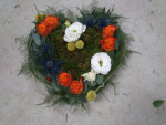 rouwhart gemengde kleuren