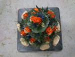 bloementaart