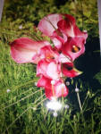 bruidsboeket handgebonden Calla roze