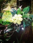 bruidsboeket handgebonden Roos wit en Anthurium groen