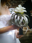bruidsboeket handgebonden Calla wit en Tillandsia