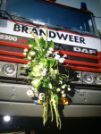 autoversiering wit gegroepeerd