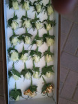 corsages