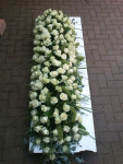 kisttoef witte rozen